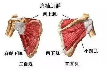 女性篮球爱好者适合的训练辅导方式_0